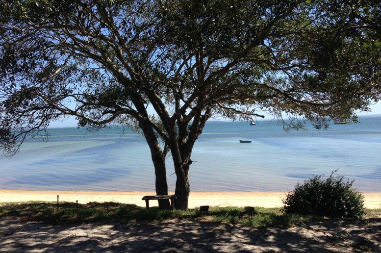 Dunwich QLD Events Australia