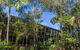 Angourie Rainforest Resort - thumb 13