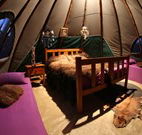 Aranyani Bison Adventure Tourist Park - Events Australia