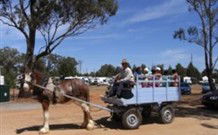 Tara NSW Events Australia
