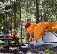 Bald Rock campground and picnic area - Tourism Bookings