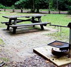 Bellbird campground - Events Australia