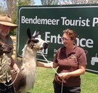 Bendemeer Tourist Park - Events Australia
