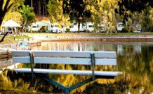 BIG4 Tweed Billabong Holiday Park - South - Tourism Bookings 2