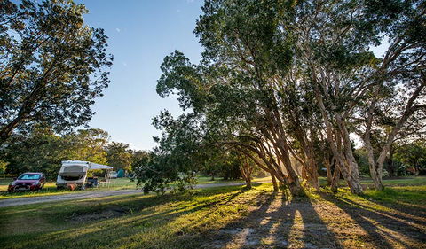 Delicate Campground - Tourism Bookings 0