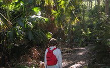 Durras Lake North Holiday Park - Events Australia 7