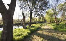 Fossickers Tourist Park - Tourism Bookings 5