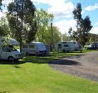 Junee Tourist Park - Tourism Bookings