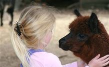 Kangaroo Valley Glenmack Park - Events Australia 1