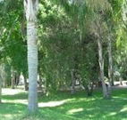Lismore Palms Caravan Park - Tourism Bookings