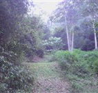 Macas Camping Ground - Events Australia