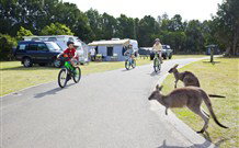 Murramarang Beachfront Nature Resort - Events Australia 4