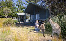 Murramarang Beachfront Nature Resort - Events Australia 10