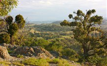 Old Bara - Events Australia 6