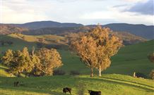 Old Bara - Events Australia 7