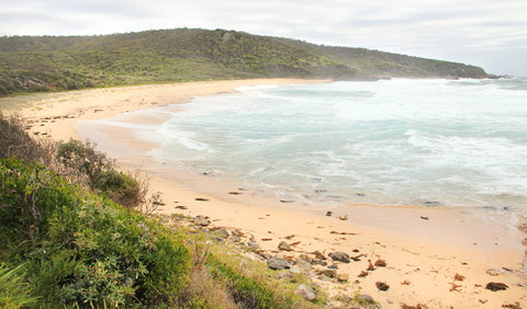 Picnic Point Campground - Events Australia 2