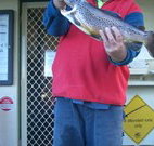 Rainbow Pines Tourist Caravan Park - Events Australia