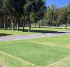 Shoalhaven Heads Holiday Park - Events Australia