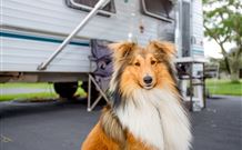 South Coast Holiday Parks Eden - Tourism Bookings 7