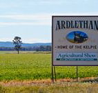 The Ardlethan Kelpie Caravan Park - Events Australia