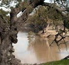 Trilby Station - Events Australia