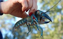 Trilby Station - Events Australia 3