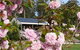 Tyrra Cottage Bed And Breakfast - thumb 2
