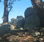 Warreen Farmstay Rural Accommodation - Events Australia