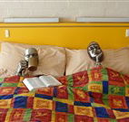 Budget Winchester Motel - Moree - Events Australia