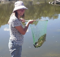 Bullock Mountain Homestead - Events Australia