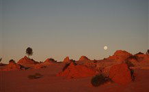 Mungo Lodge Tours And Accommodation - Events Australia 8