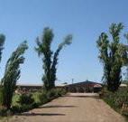 Newell Motor Inn - Narrandera - Accommodation Europe