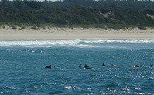 Sussex Shores RSL Units - Sussex Inlet - Events Australia 4