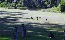 Sussex Shores RSL Units - Sussex Inlet - Events Australia 6