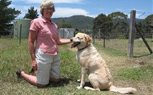 Big Bell Farm - Events Australia 2