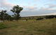 Hanericka Farmstay - thumb 5