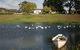 Old Redbank Farm Holiday - thumb 0