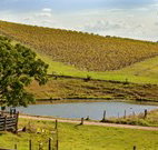 Sanctuary Hill Retreat