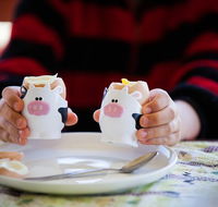 Cosy Cow Farmstay Bed and Breakfast - Events Australia