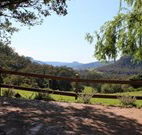 Cedar Grove - - Events Australia