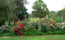 Russellee Bed And Breakfast - Events Australia 2
