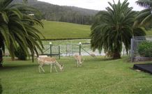 Sunny Hill Retreat Accommodation And Day Spa - - Events Australia 6