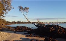 Tree Tops Bed And Breakfast Jervis Bay - Events Australia 6