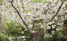 Valley Of The Waters Bed And Breakfast - Events Australia 7