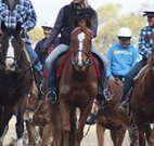 Jemby Rinjah Eco Lodge - Events Australia