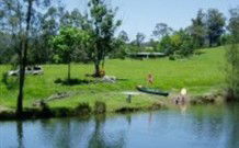 Farley ACT Tourism Bookings