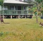 Bewong River Retreat - Events Australia