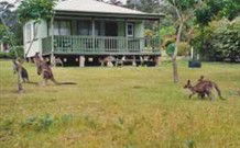 Bewong River Retreat - Events Australia 0