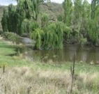 Cedar Grove - Events Australia