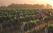 Inlet Anchorage Caravan Park And Cottages - Events Australia 6